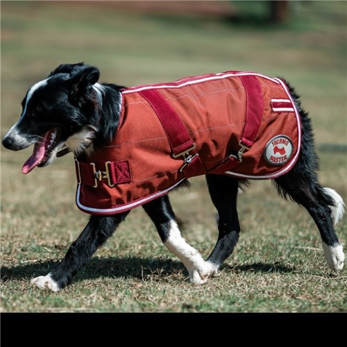 PET3612 CHY